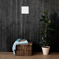 Card Canvas