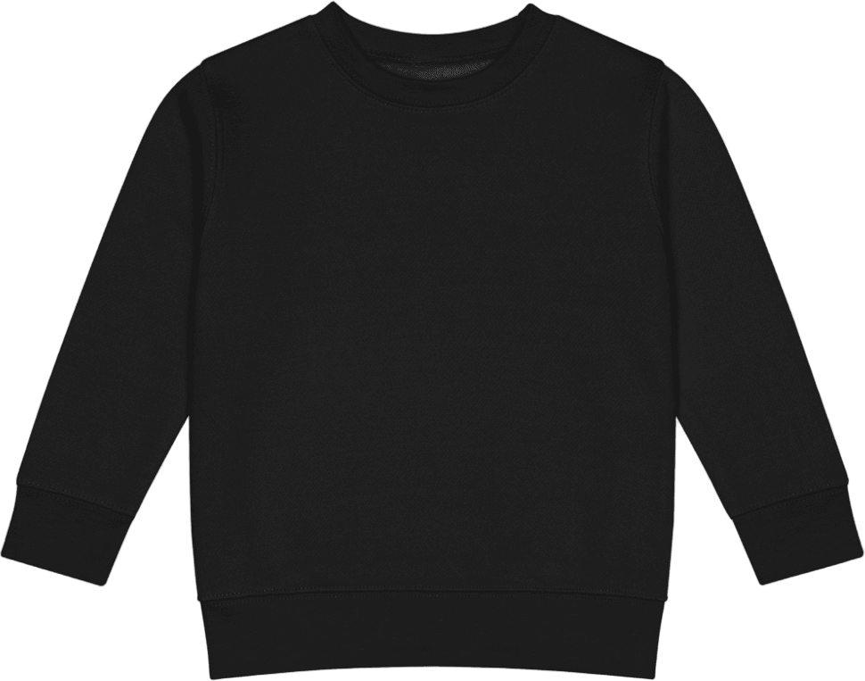 boop-scene:https://cdn.theboop.app/store/flat/kids-sweatshirt/1006866-97bd15e86631.png