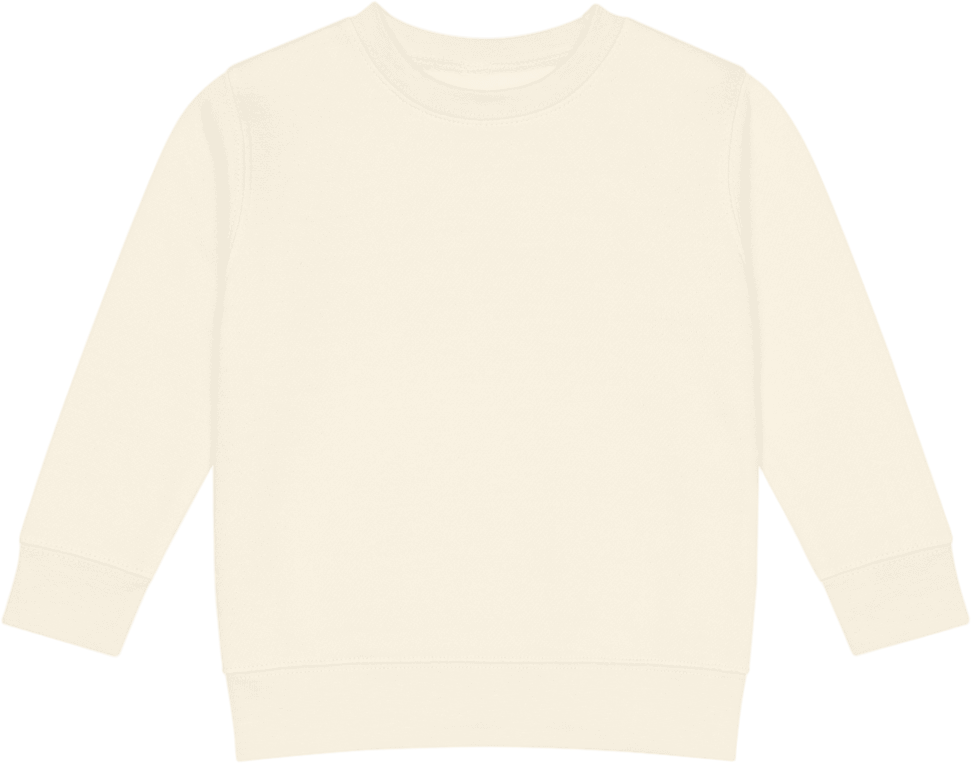 boop-scene:https://cdn.theboop.app/store/flat/kids-sweatshirt/1006868-dcdac2cc8949.png