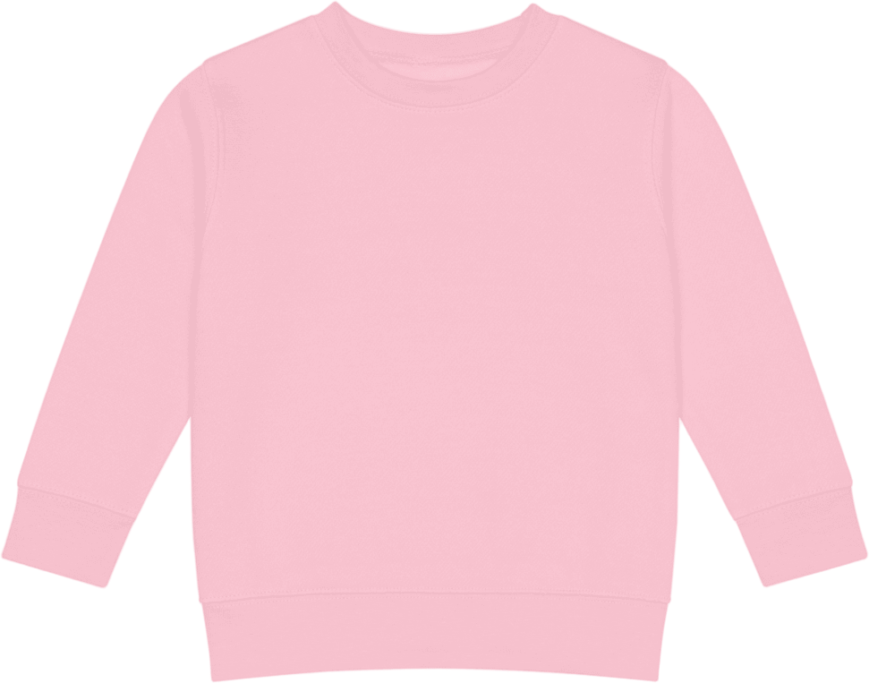 boop-scene:https://cdn.theboop.app/store/flat/kids-sweatshirt/1006870-36a23cfc0a16.png