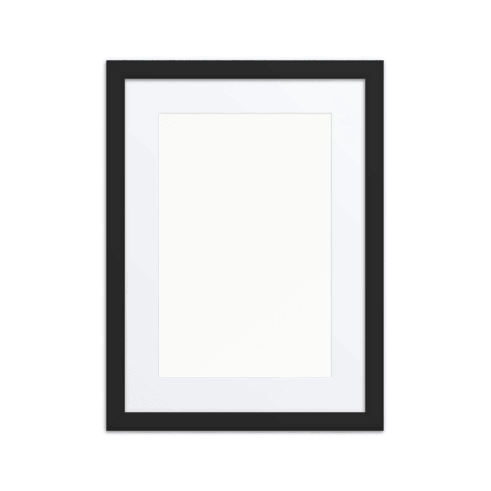 Matte Paper Framed Poster With Mat (in)