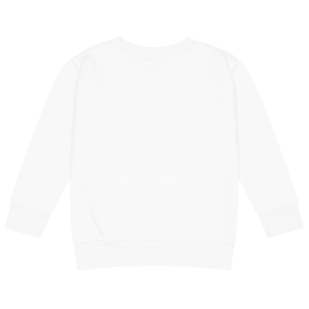 Kids Crew Neck Sweatshirt | Rabbit Skins 3317