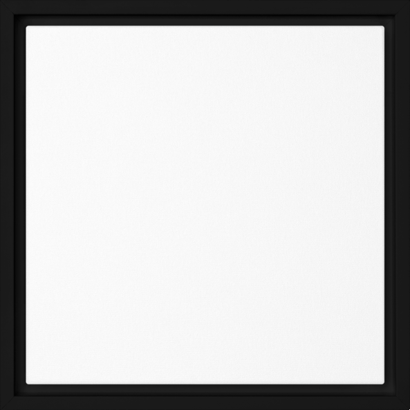 boop-scene:https://cdn.theboop.app/store/flat/framed-canvas/black-r100-4af5f989b3a0.png