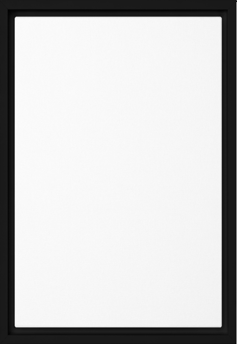 boop-scene:https://cdn.theboop.app/store/flat/framed-canvas/black-r71-e77ede3c3e2b.png