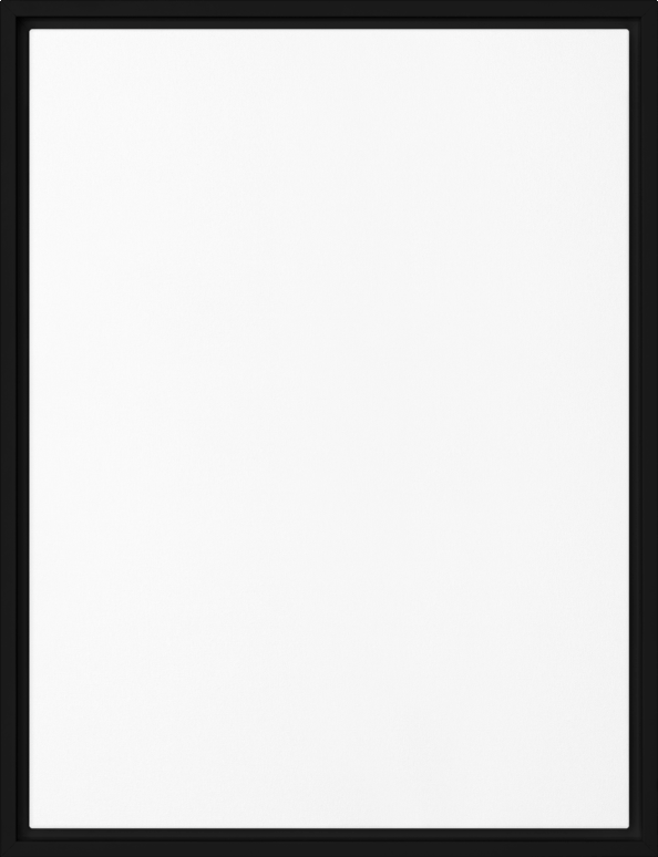 boop-scene:https://cdn.theboop.app/store/flat/framed-canvas/black-r77-939280a38c77.png