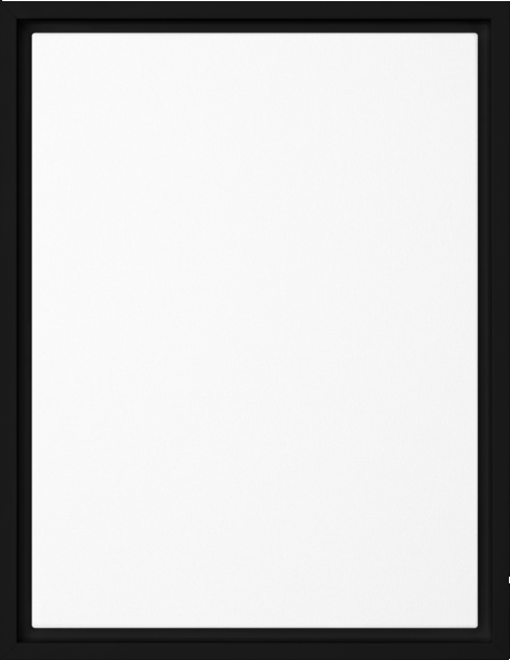 boop-scene:https://cdn.theboop.app/store/flat/framed-canvas/black-r79-1941051a9f0b.png