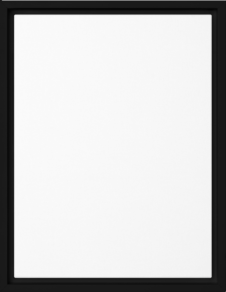 boop-scene:https://cdn.theboop.app/store/flat/framed-canvas/black-r80-49d5f3e719d5.png