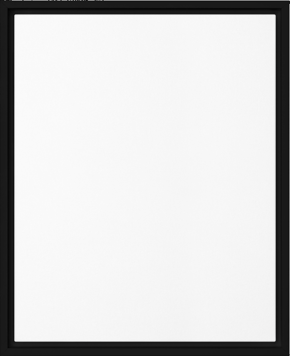 boop-scene:https://cdn.theboop.app/store/flat/framed-canvas/black-r83-8a27e175cd5e.png
