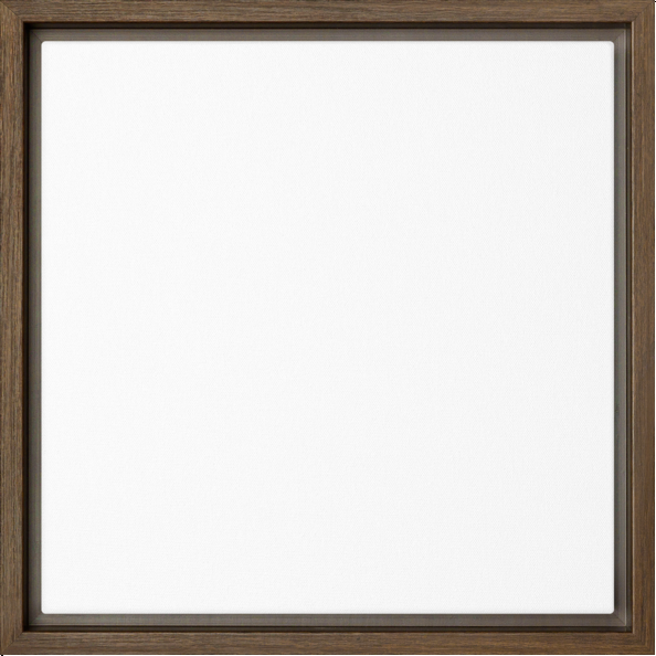 boop-scene:https://cdn.theboop.app/store/flat/framed-canvas/brown-r100-4dc4b64b9445.png