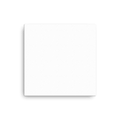 Thin Canvas (in)