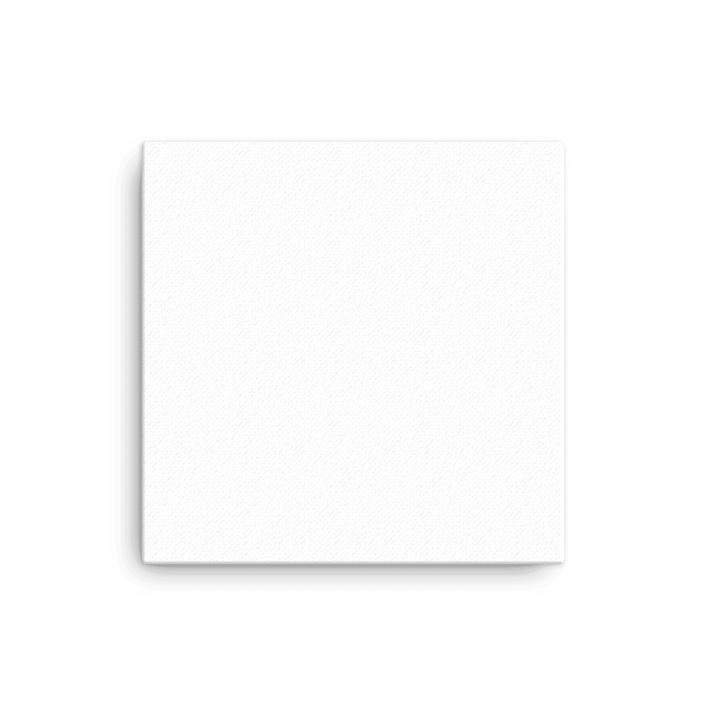 Thin Canvas (in)