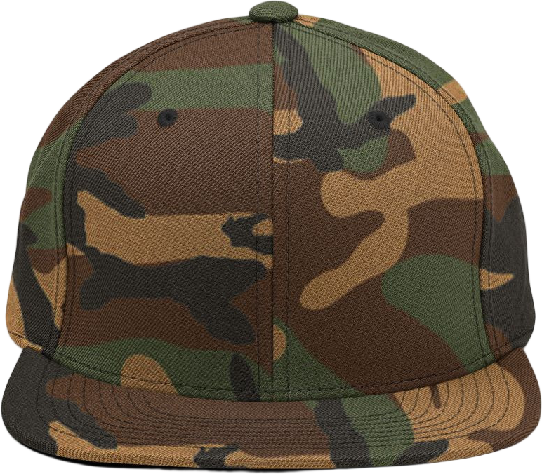 boop-scene:https://cdn.theboop.app/store/caps/classic-snapback/green-camo-384071b64dd4.png
