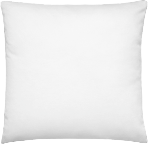 boop-scene:https://cdn.theboop.app/store/flat/basic-pillow/r100-00ab7372eef5.png