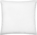 boop-scene:https://cdn.theboop.app/store/flat/premium-pillow/r100-3c2133f7ea0a.png