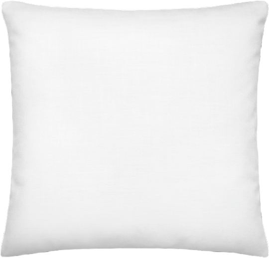 boop-scene:https://cdn.theboop.app/store/flat/premium-pillow/r100-3c2133f7ea0a.png